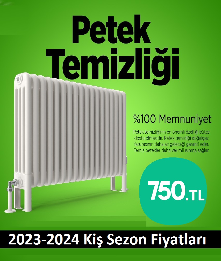 Kurtköy Petek Temizliği Tek Fiyat Teklifi Al